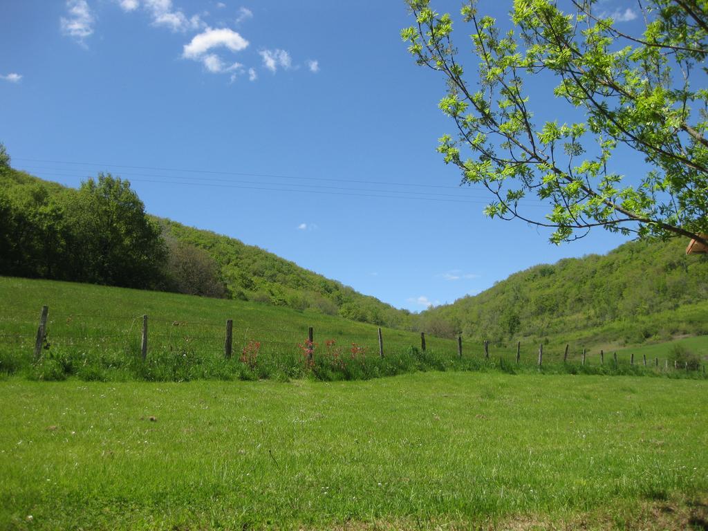 Bed and Breakfast Domaine La Rose Caylus Экстерьер фото